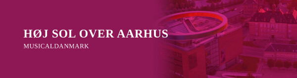 Høj sol over Aarhus